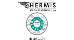 Desktop Screenshot of hermis.com